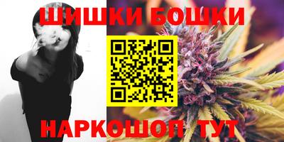 мет Можга